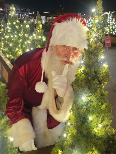 Gallery photo 8 of Santa JayK