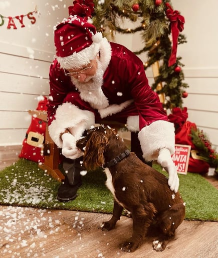 Gallery photo 12 of Santa JayK