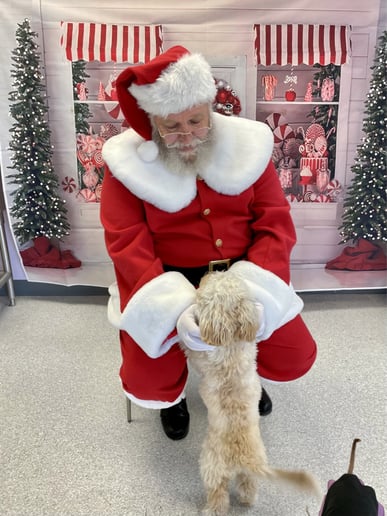 Gallery photo 4 of Santa John