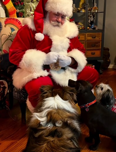 Gallery photo 10 of Santa Jeff