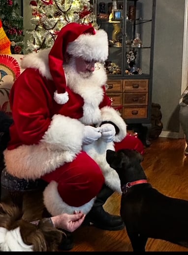 Gallery photo 1 of Santa Jeff