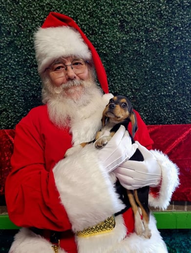 Gallery photo 1 of Santa Jeff of Covington