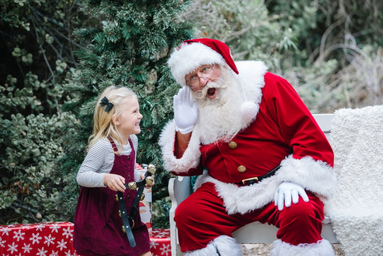 Gallery photo 8 of Santa Jeff