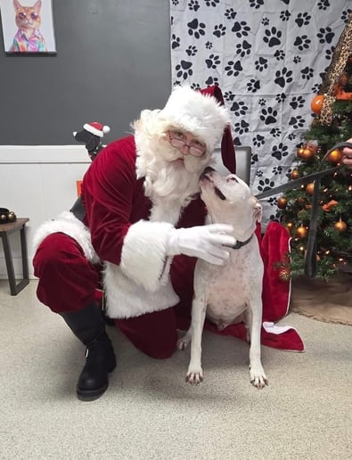 Gallery photo 8 of Santa Jeff
