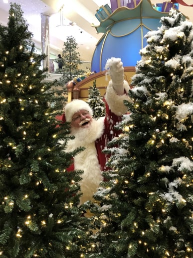 Gallery photo 1 of Santa Jeff