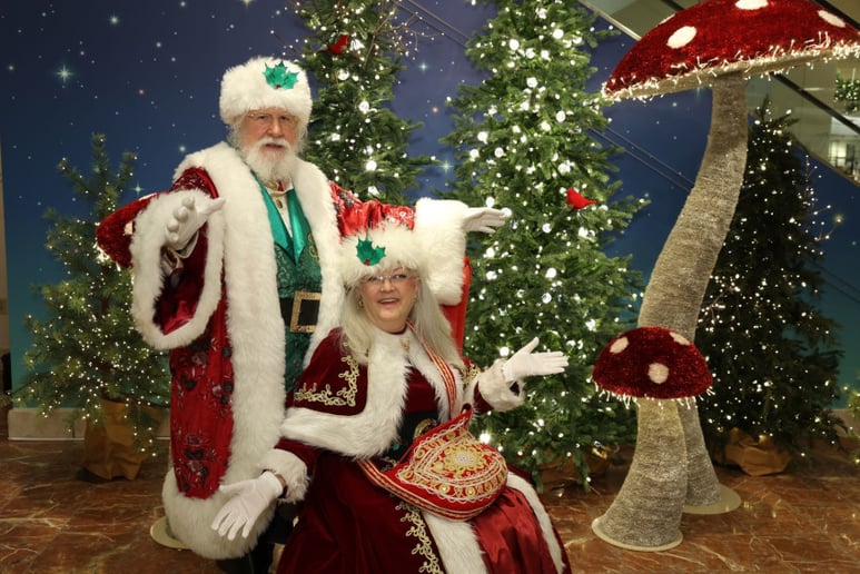 Gallery photo 13 of Santa Jeffrey