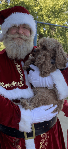 Gallery photo 10 of Santa Jerrel