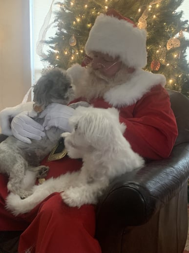 Gallery photo 1 of Santa Jerrel