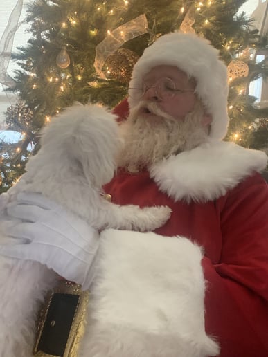 Gallery photo 4 of Santa Jerrel