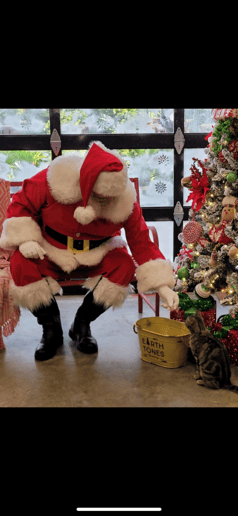 Gallery photo 6 of Santa Jerrel
