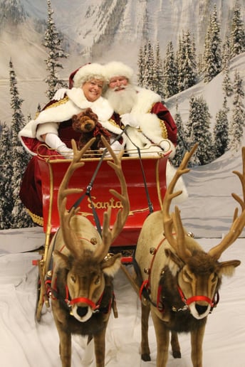 Gallery photo 5 of Santa Jerry