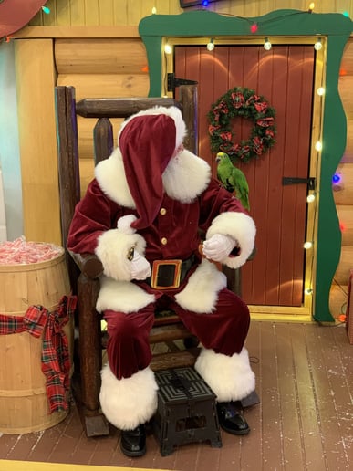 Gallery photo 9 of Santa Jerry