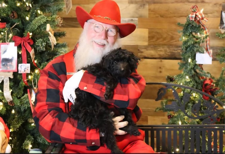 Gallery photo 5 of Santa Jerry & Mrs Joy Claus