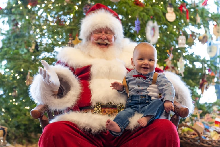 Gallery photo 9 of Santa Jerry