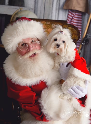Gallery photo 8 of Santa Jim