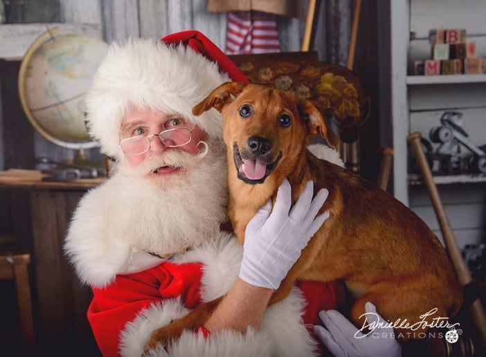 Gallery photo 9 of Santa Jim