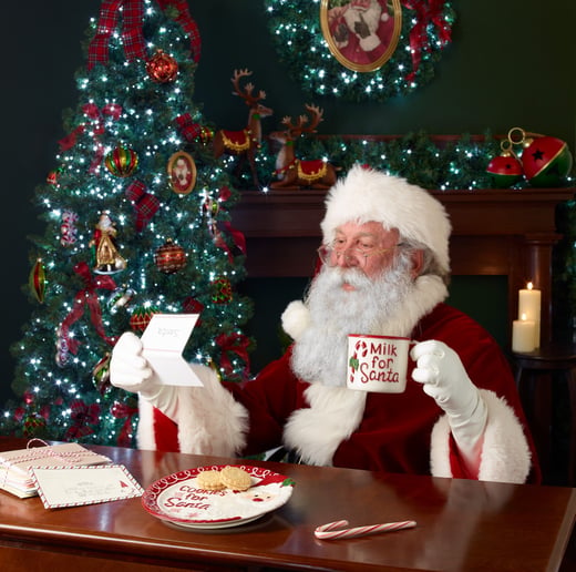 Gallery photo 2 of Santa Jim
