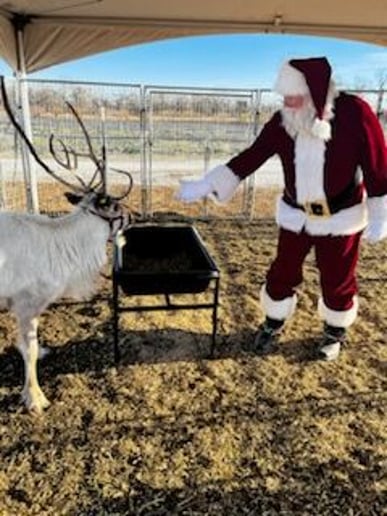 Gallery photo 9 of Santa Jim Jingle