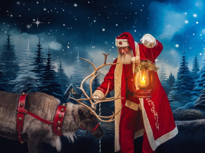 Gallery photo 25 of Santa Jim LLC