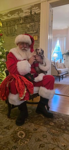 Gallery photo 5 of Santa Jim