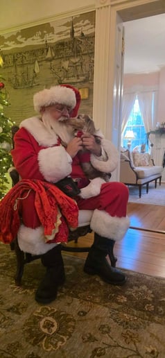 Gallery photo 4 of Santa Jim