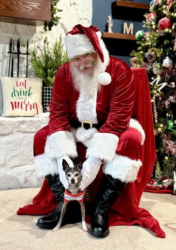Gallery photo 4 of Santa Jim Suter