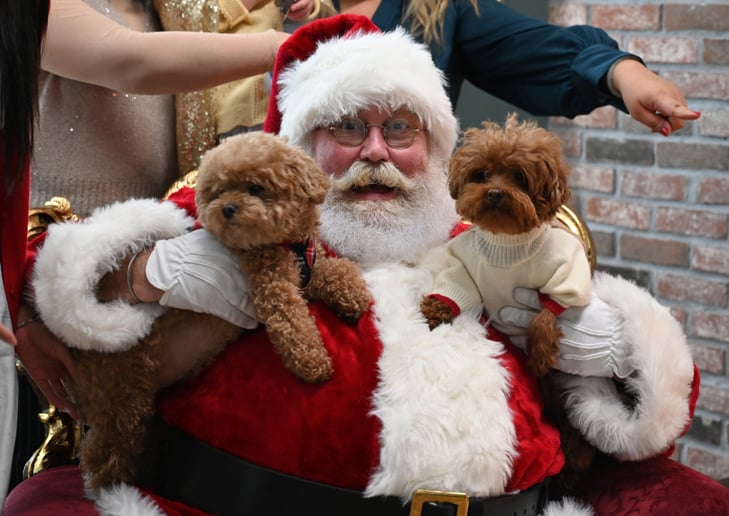 Gallery photo 6 of Santa Jimmy Claus