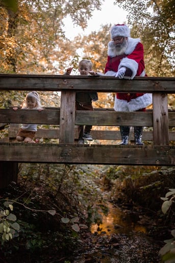 Gallery photo 2 of Santa Jingle Rock Jim