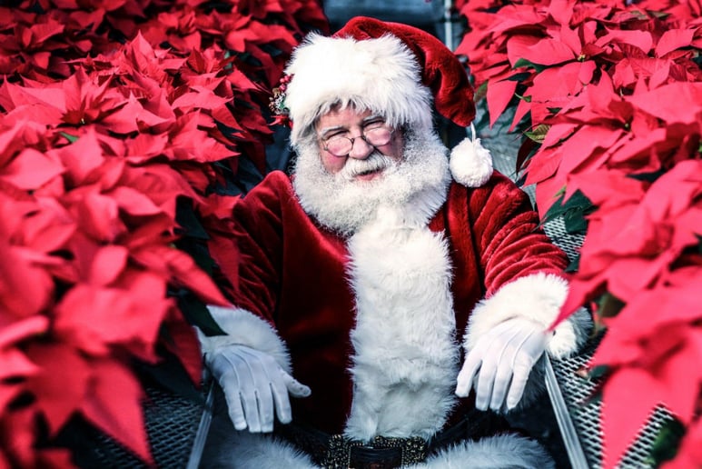 Gallery photo 1 of Santa Joe