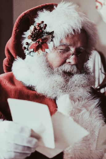 Gallery photo 2 of Santa Joe