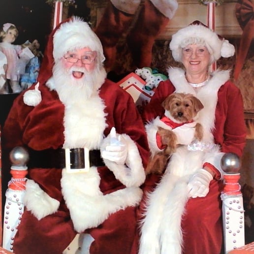 Gallery photo 5 of Santa Joe
