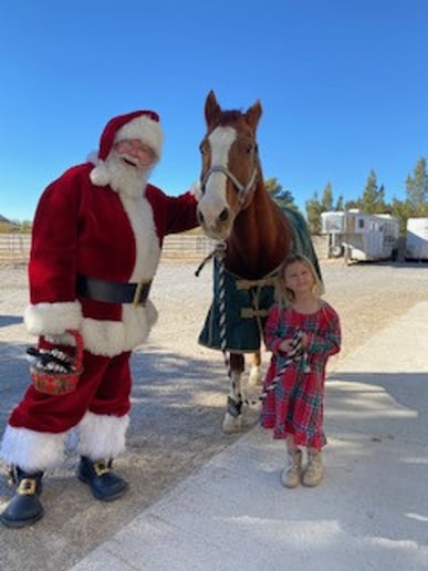 Gallery photo 9 of Santa Joe