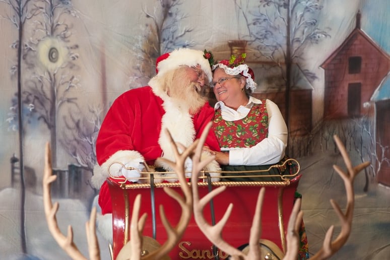 Gallery photo 2 of Santa Joey