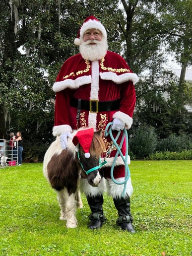 Gallery photo 4 of Santa John