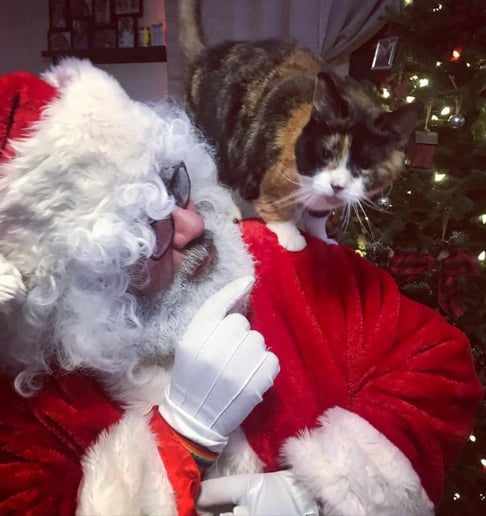 Gallery photo 9 of Santa John