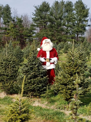 Gallery photo 17 of North Pole Santa John
