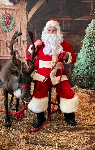 Gallery photo 2 of Santa John Pike