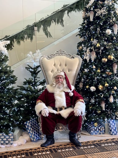 Gallery photo 16 of Santa John, the San Jose Santa
