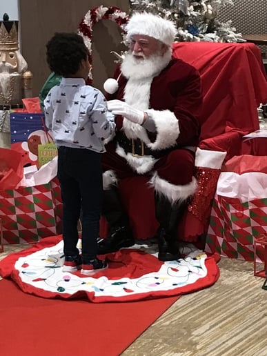 Gallery photo 1 of Santa John Visits