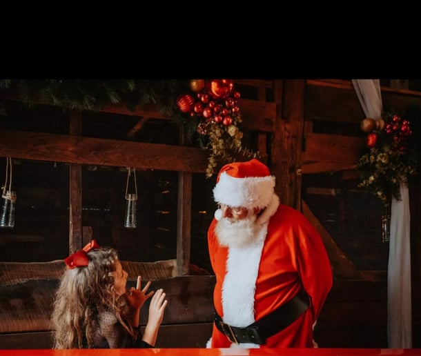 Gallery photo 2 of Santa Johnny