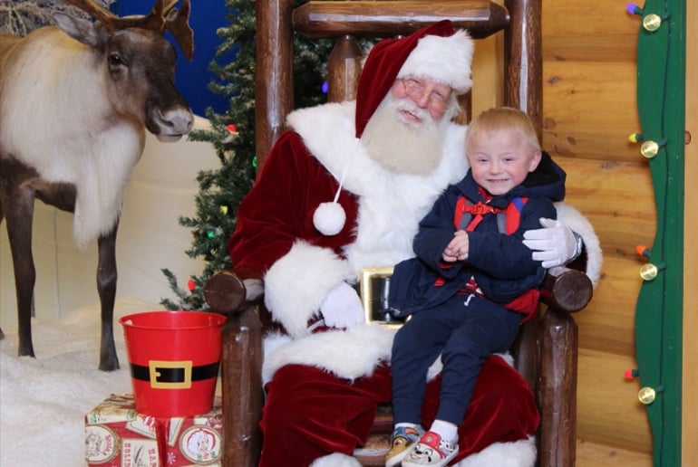 Gallery photo 8 of Santa Josh
