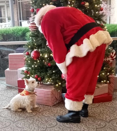 Gallery photo 1 of Santa Joshua