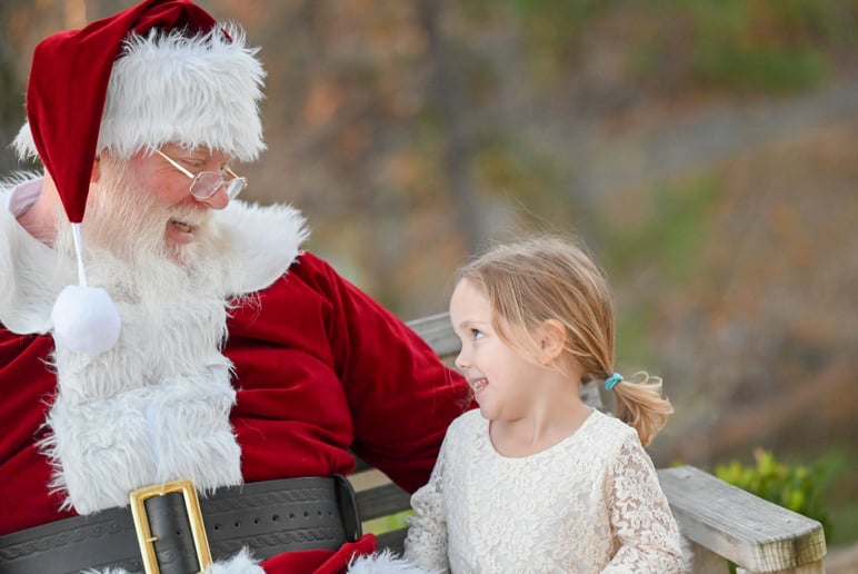 Gallery photo 5 of Santa JT