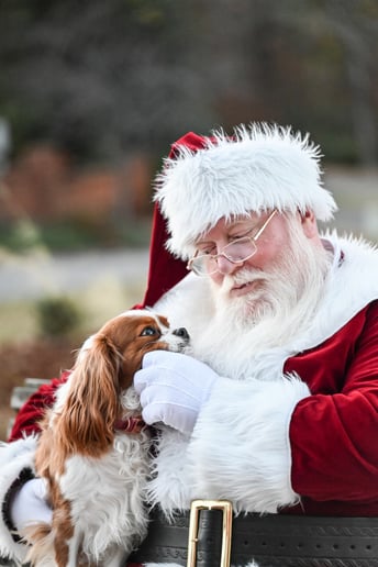 Gallery photo 7 of Santa JT