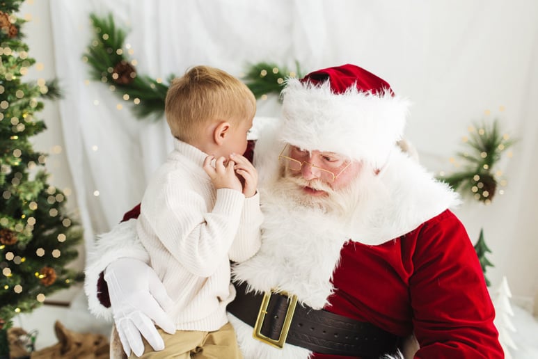 Gallery photo 22 of Santa JT
