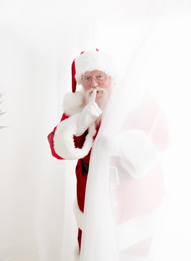 Gallery photo 4 of Santa JT