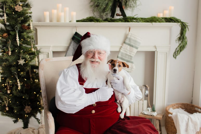 Gallery photo 26 of Santa JT