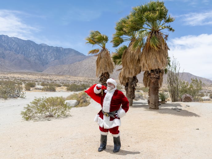 Gallery photo 2 of Santa JT