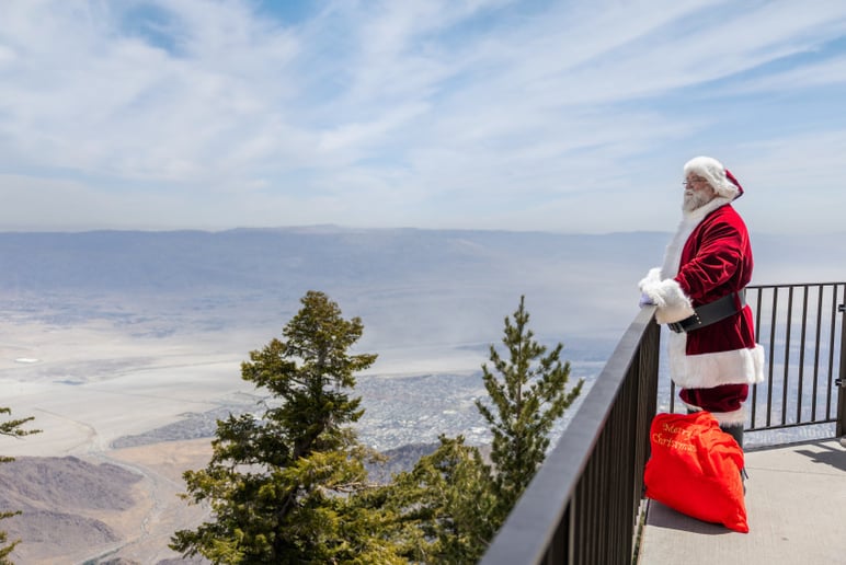 Gallery photo 4 of Santa JT