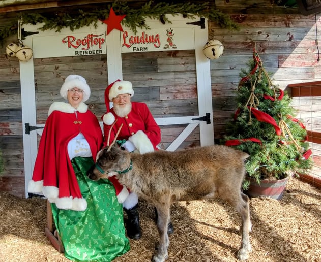 Gallery photo 12 of Santa Karl and Mrs. Claus